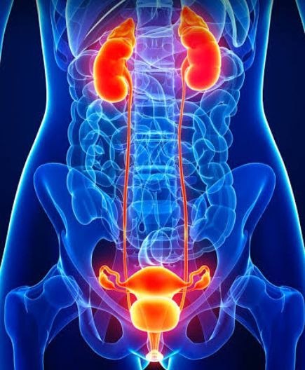 Post Menopause Syndrome